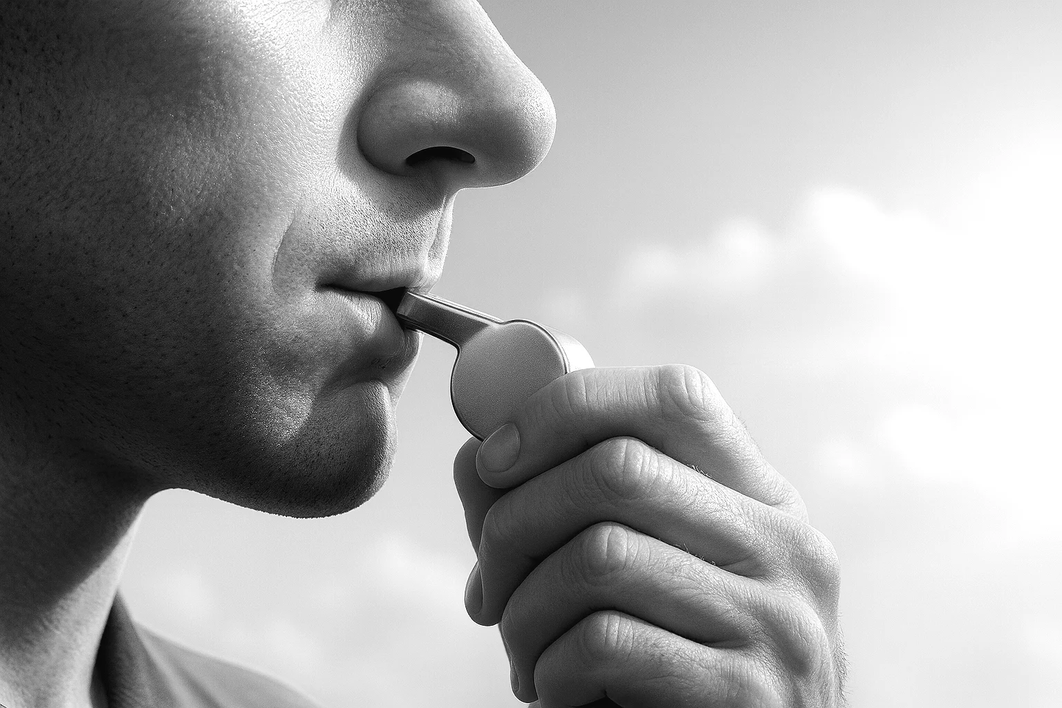 Whistle